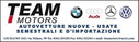 Logo Team Motors Srl